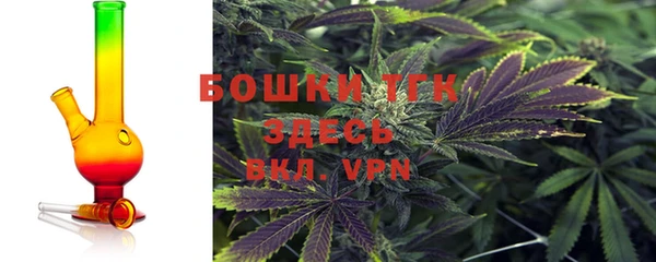 мдпв Вяземский