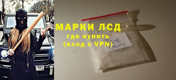 гидра Вязьма