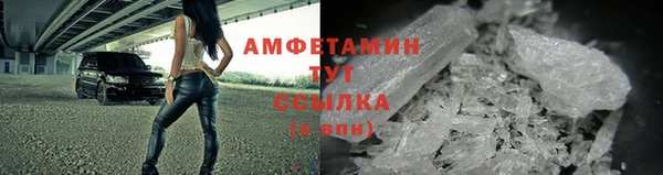 гидра Вязьма