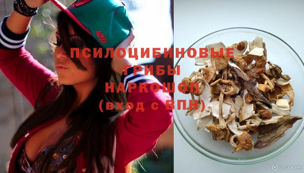 гидра Вязьма