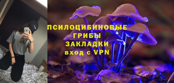 молекула духа Волосово