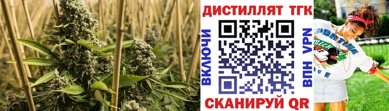 ТГК гашишное масло Петропавловск-Камчатский