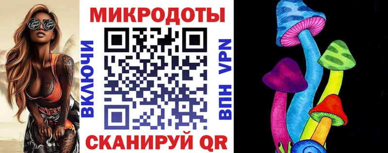 Псилоцибиновые грибы Psilocybe  Петропавловск-Камчатский 